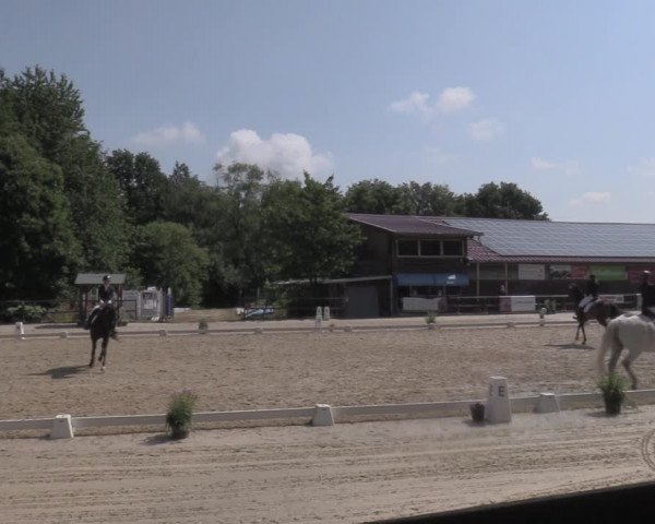 Reitturnier Marienheide-Kempershöhe 2022