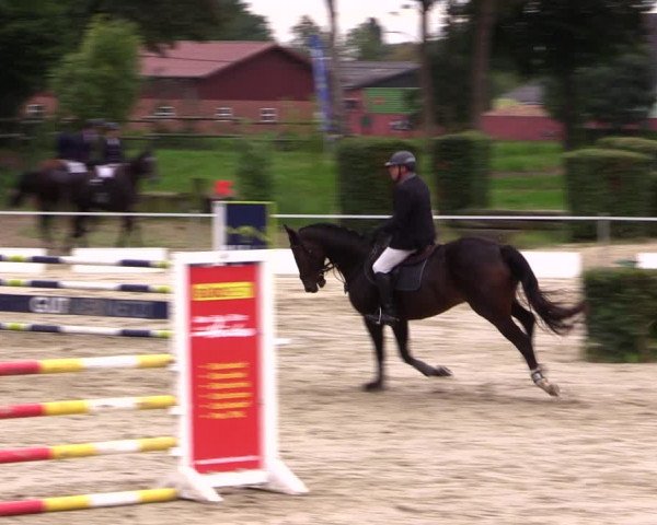 Springturnier Lüdinghausen 2021