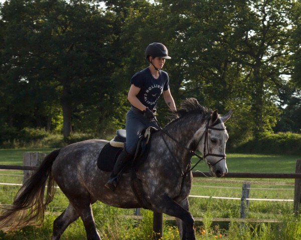 broodmare Caya (Hanoverian, 2015, from Castellano)