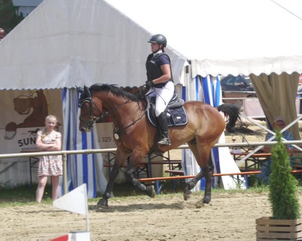 Reitturnier Heiligenwald 2022