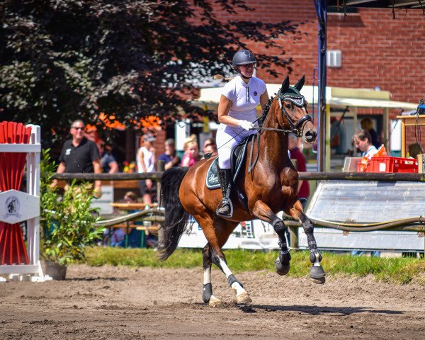 Springpferd Leandra 225 (Oldenburger, 2013, von Lyjanero)