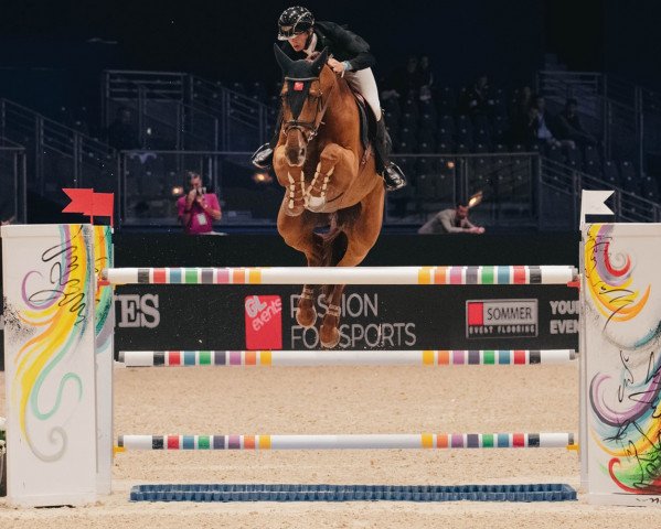 jumper Azur du Vinnebus (Selle Français, 2010, from Robin du Vinebus)