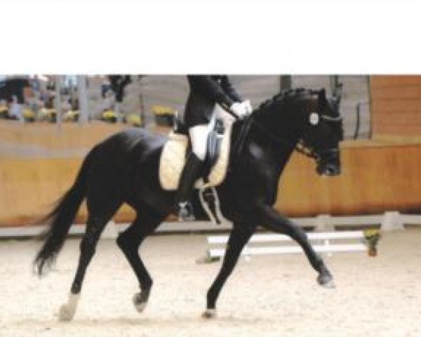 broodmare Pia Nera Marzina (Rhinelander, 1995, from Parademarsch I)