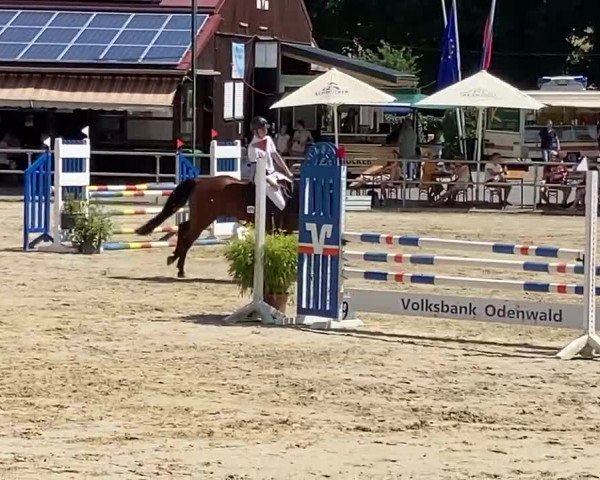 Reitturnier Erbach/ Odw. 2022