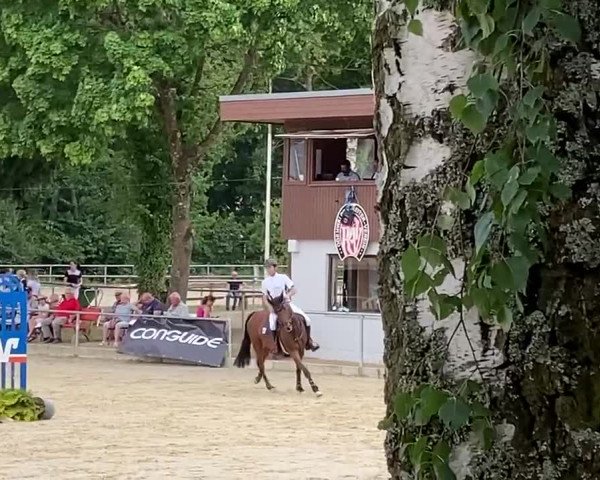 Reitturnier Erbach/ Odw. 2022