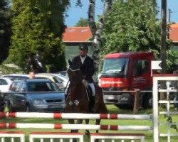 jumper Charly 1455 (Oldenburg show jumper, 2007, from Chalan)
