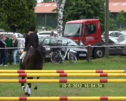 jumper Schwebeteilchen (German Riding Pony, 2007, from Hightrick)