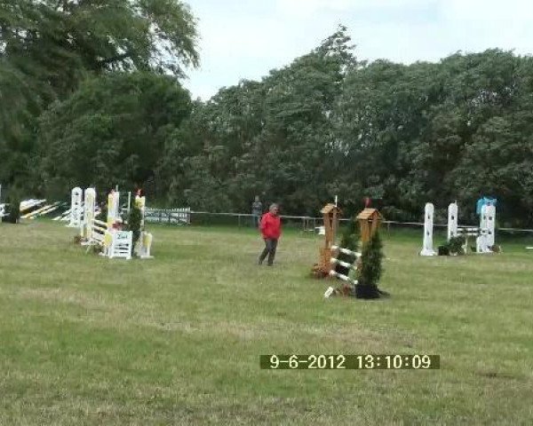 jumper Gascoigne 10 (Hanoverian, 2006, from Galan ShA)