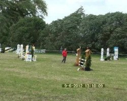 jumper Gascoigne 10 (Hanoverian, 2006, from Galan ShA)