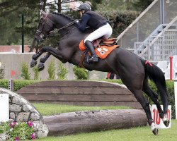 jumper Black Pearl de Soule (Oldenburg, 2015, from London)