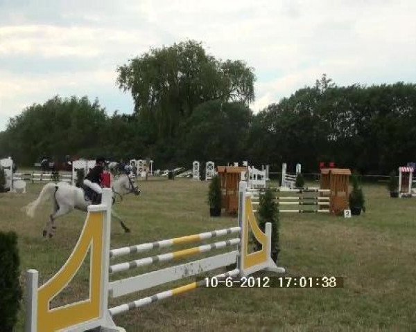 jumper Sandokan 212 (unknown, 2002)