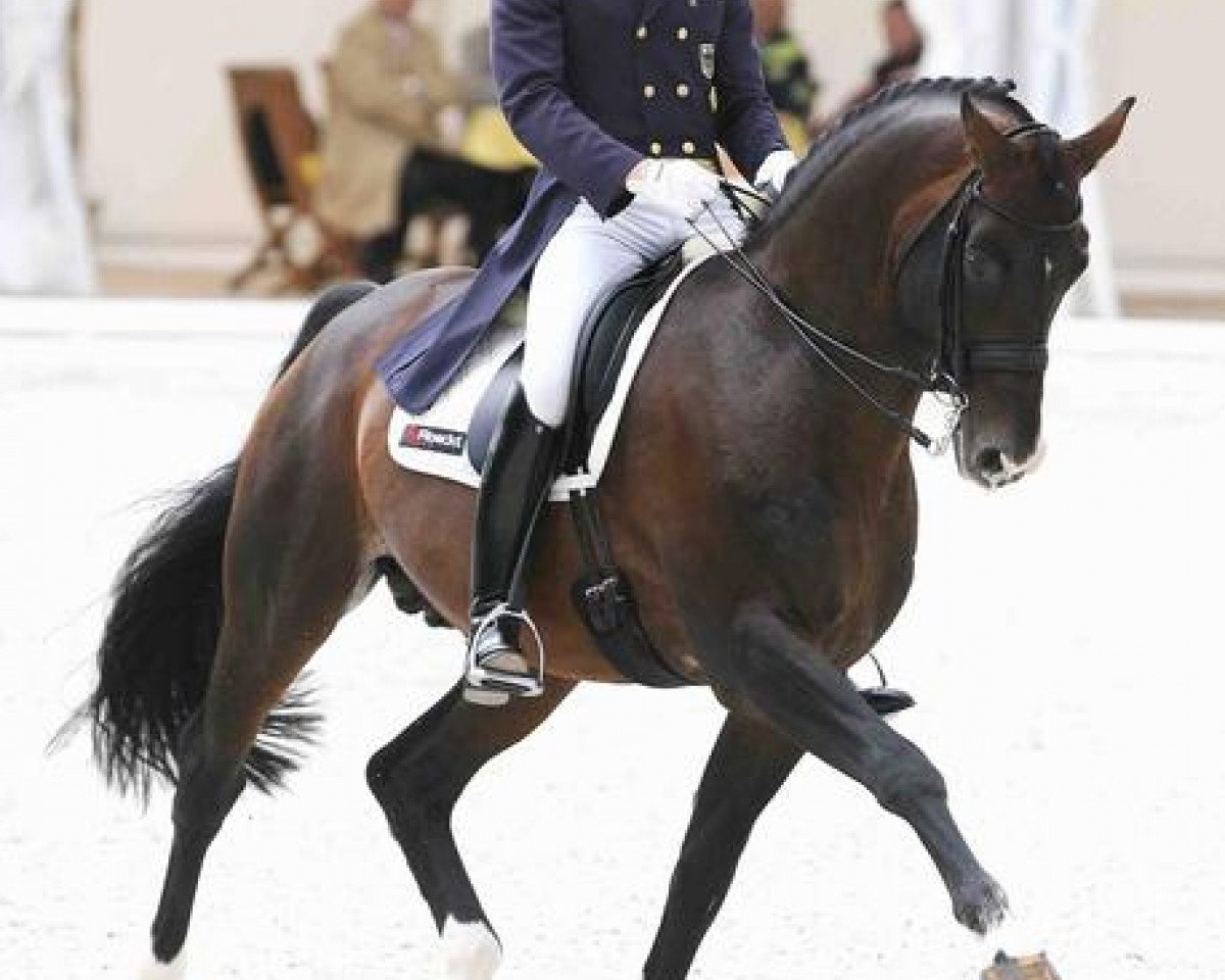 stallion Weltino (Westphalian, 1997, from Weltfeuer)