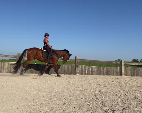 Video of Renax