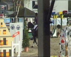 broodmare Arabella (Hanoverian, 2003, from Abke 4)