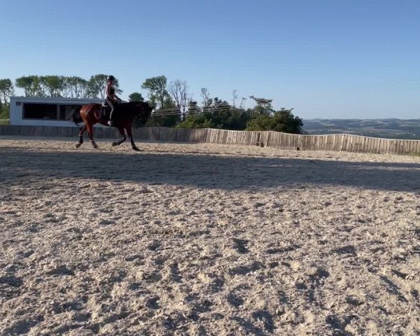 Video of Renax