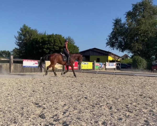 Video of Renax