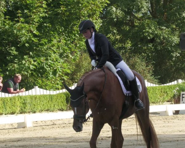 Reitturnier Neu-Anspach 2022