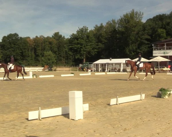 Reitturnier Clarholz 2022