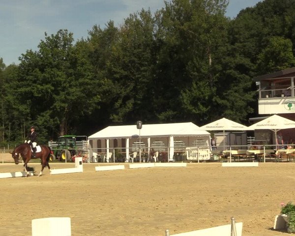 Reitturnier Clarholz 2022