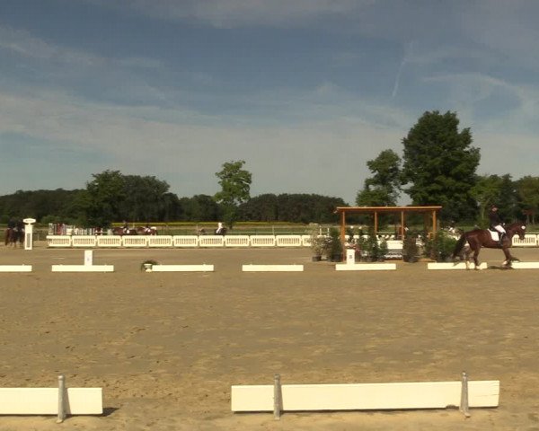 Reitturnier Clarholz 2022