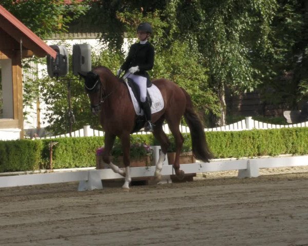 Reitturnier Neu-Anspach 2022