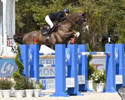 jumper Eganix du Seigneur (Belgium Sporthorse, 2010, from Ogano Sitte)