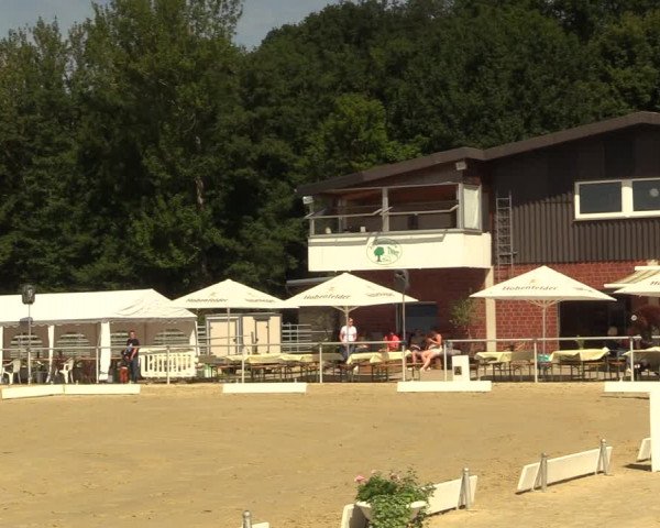 Reitturnier Clarholz 2022