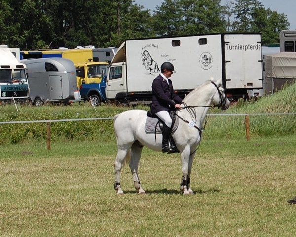 jumper Ramiro 216 (Westphalian, 1998, from Ehrenmarsch)