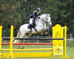 jumper Lennox 136 (Oldenburg, 1998, from Lordanos)