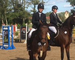 broodmare Look At Lou (Bavarian, 2012, from Boston)