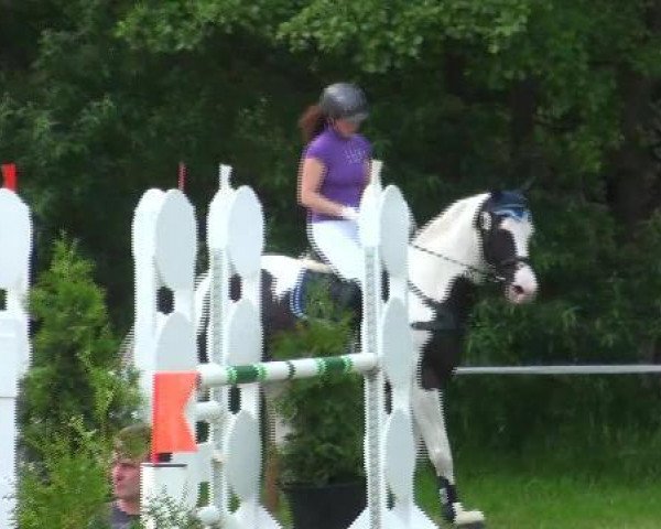 Springpferd I-Punkt 11 (Westfale, 2005, von Ilan)