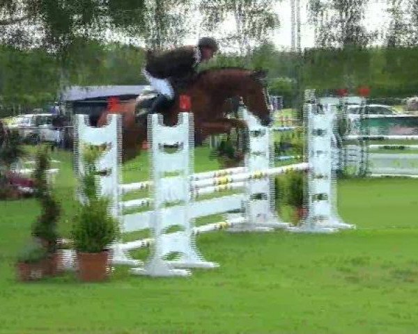 Springpferd Louis 285 (Hannoveraner, 2007, von Ludwig von Bayern 168 FIN) Springpferd Louis 285 (Hannoveraner, 2007, von Ludwig von Bayern 168 FIN)