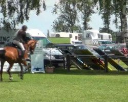 jumper Oakley 9 (Westphalian, 2007, from Onassis)