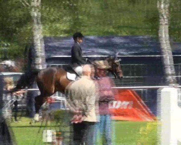 Springpferd Asamoa 3 (Hannoveraner, 2006, von Adlantus As FRH)