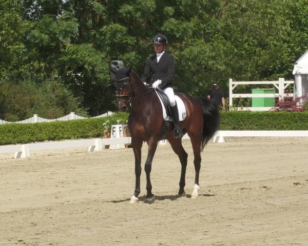 Reitturnier Neu-Anspach 2022