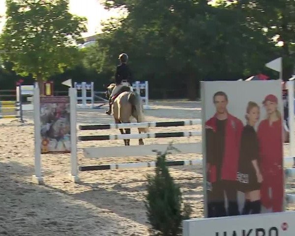 Reitturnier Rot am See- Musdorf 2022