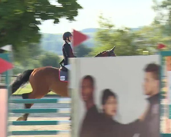Reitturnier Rot am See- Musdorf 2022