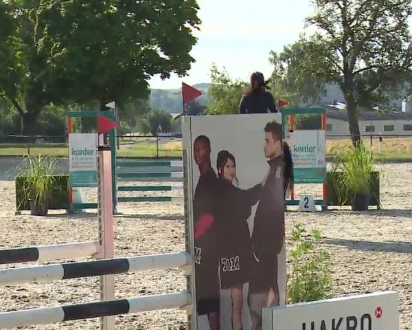 Reitturnier Rot am See- Musdorf 2022