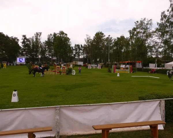 Reitturnier Etingen 2022