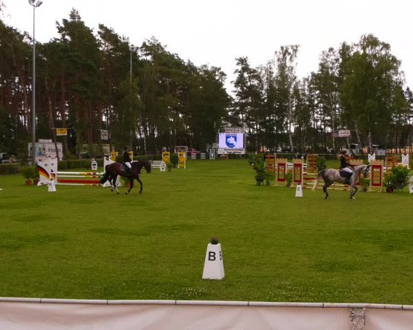 Reitturnier Etingen 2022