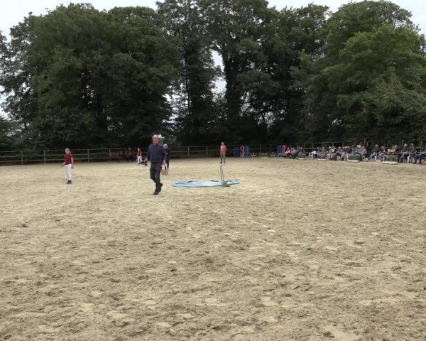 Holsteiner Fohlenchampionat im Körbezirk Rendsburg-Eckernförde 2022