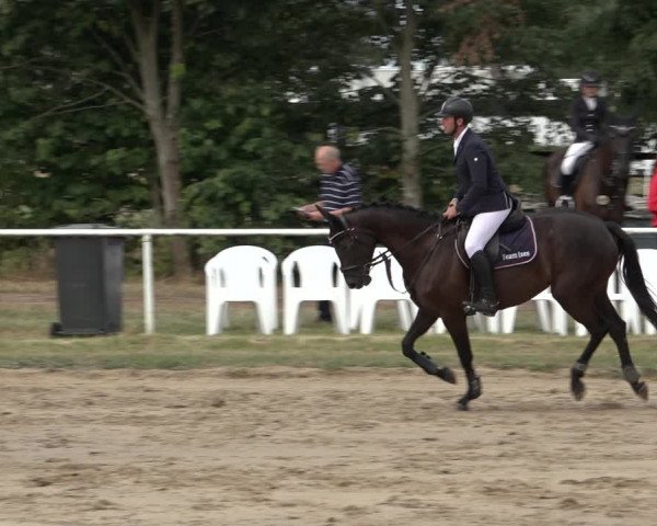 Reitturnier Volkmarode 2022