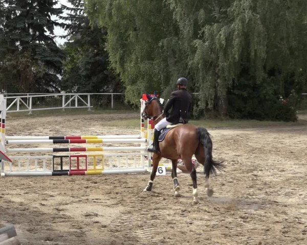 Reitturnier Volkmarode 2022