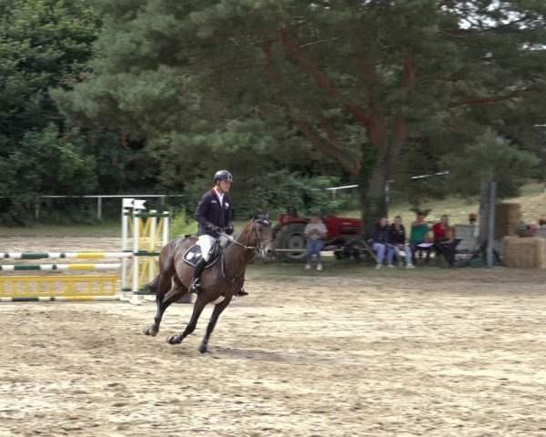 Reitturnier Volkmarode 2022