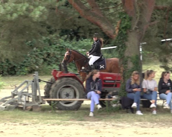 Reitturnier Volkmarode 2022