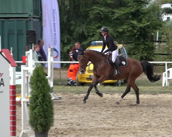Reitturnier Volkmarode 2022