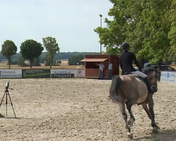 Reitturnier Rot am See- Musdorf 2022
