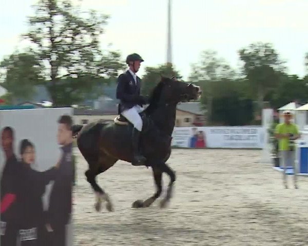 Reitturnier Rot am See- Musdorf 2022