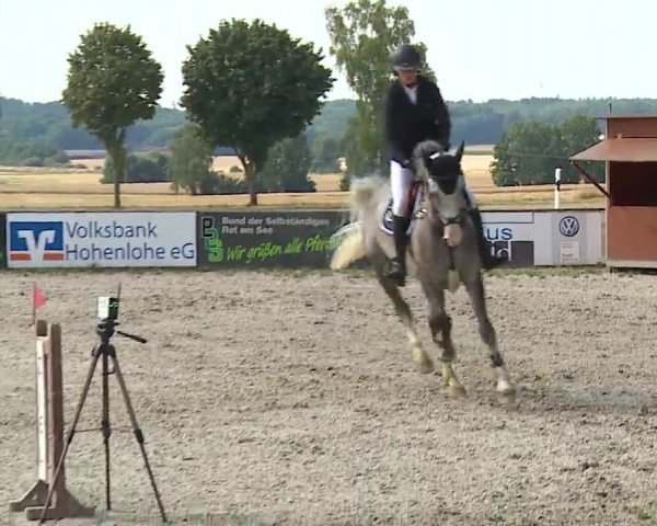 Reitturnier Rot am See- Musdorf 2022