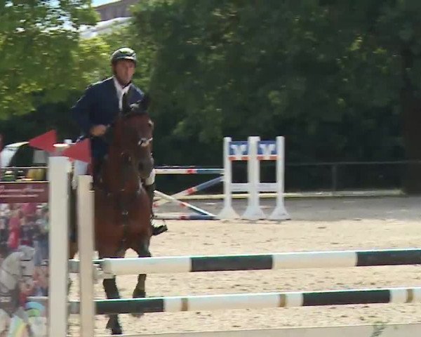 Reitturnier Rot am See- Musdorf 2022